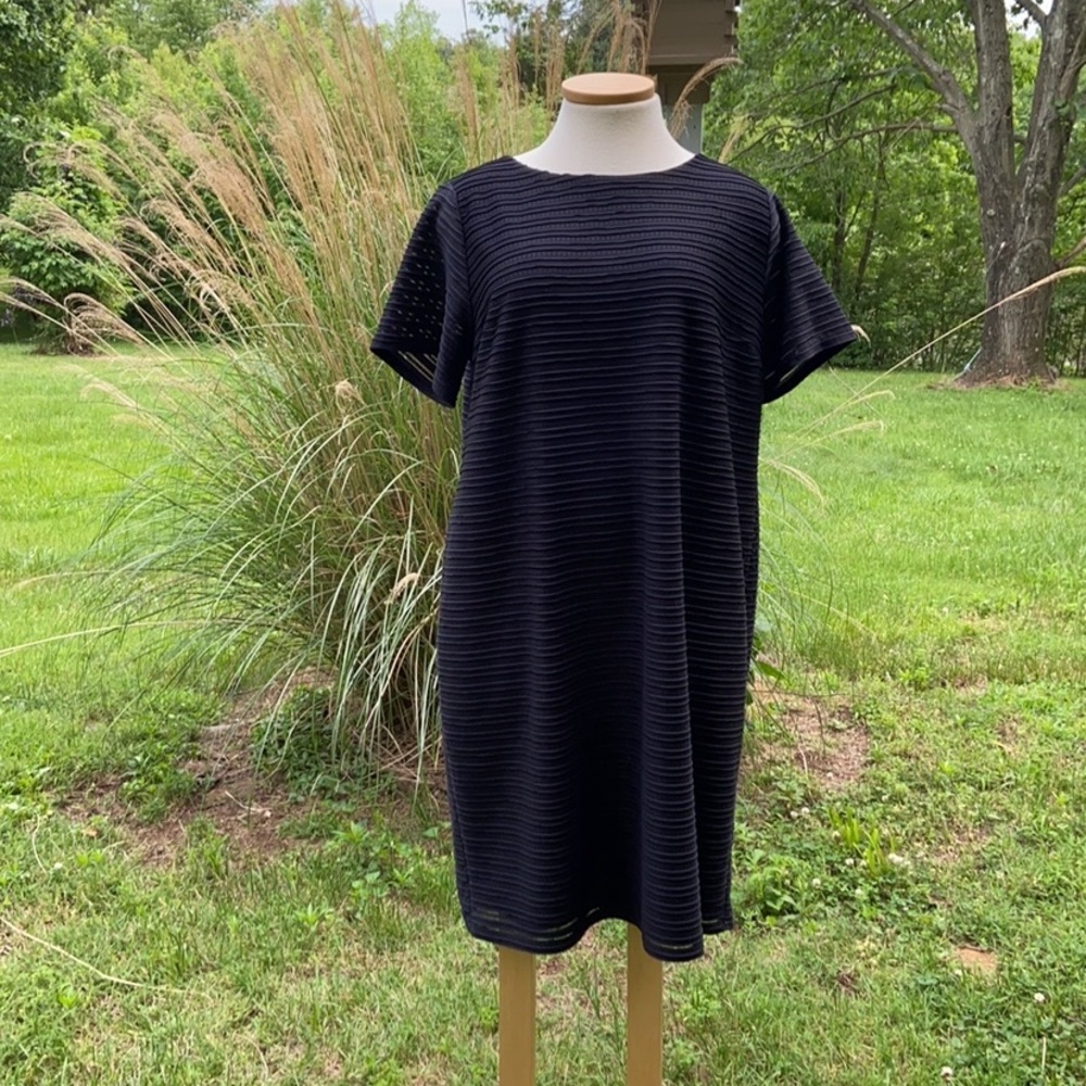 Cato’s Black Dress Size 22/24